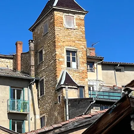 Appartement Duplex Proche Bord De Saone à Trévoux Extérieur photo